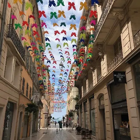 Duplex Avec Terrasse - Hyper-centre De 公寓 *