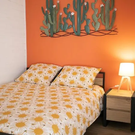 Duplex Avec Terrasse - Hyper-centre De