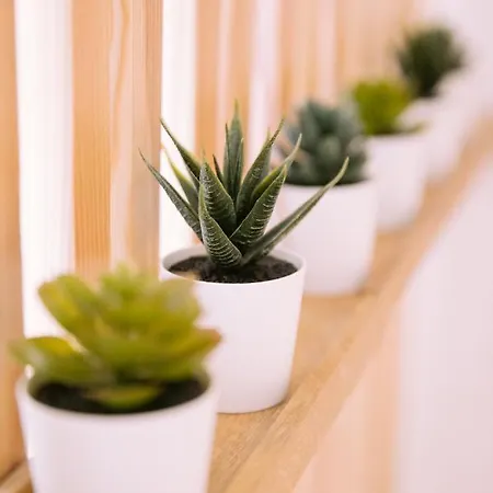 公寓 Duplex Avec Terrasse - Hyper-centre De 土伦