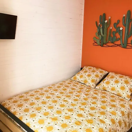 Duplex Avec Terrasse - Hyper-centre De 公寓